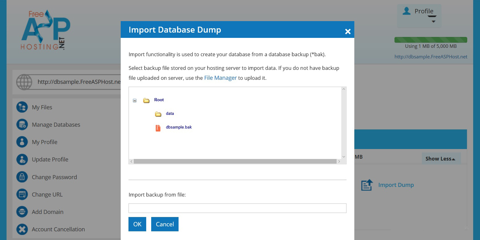 Free Database Hosting